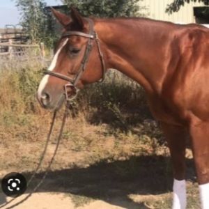 Meet your Posher, Zahara